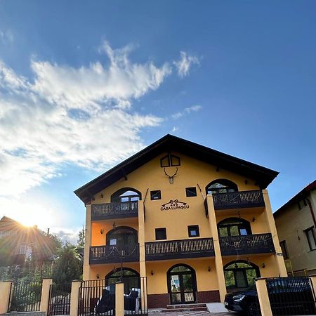 Casa Lupascu Hotel Vatra Dornei Exterior photo