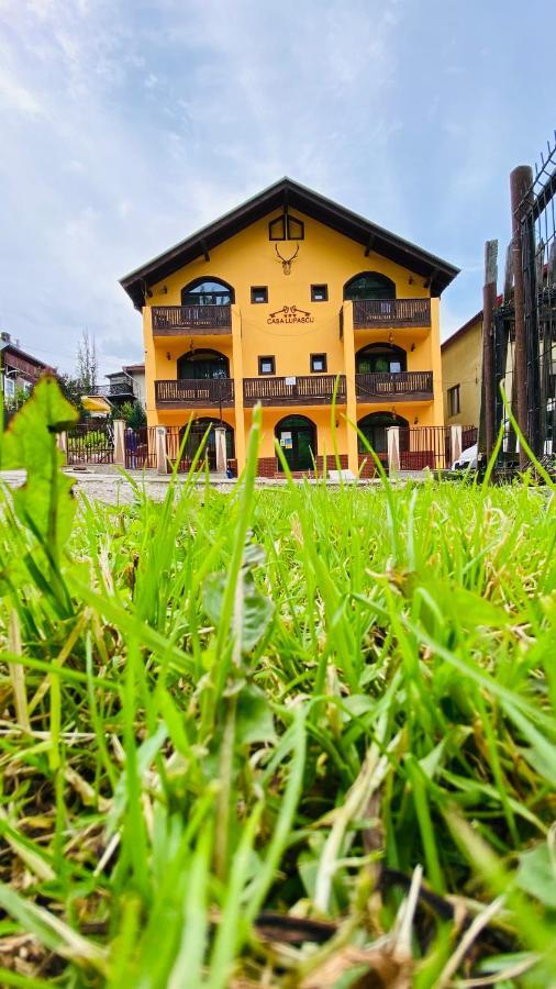 Casa Lupascu Hotel Vatra Dornei Exterior photo